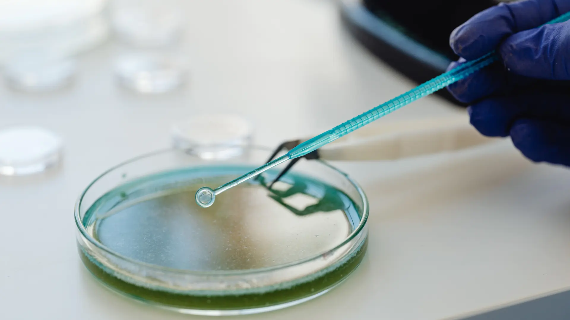 How to Collect Well Water Samples Correctly