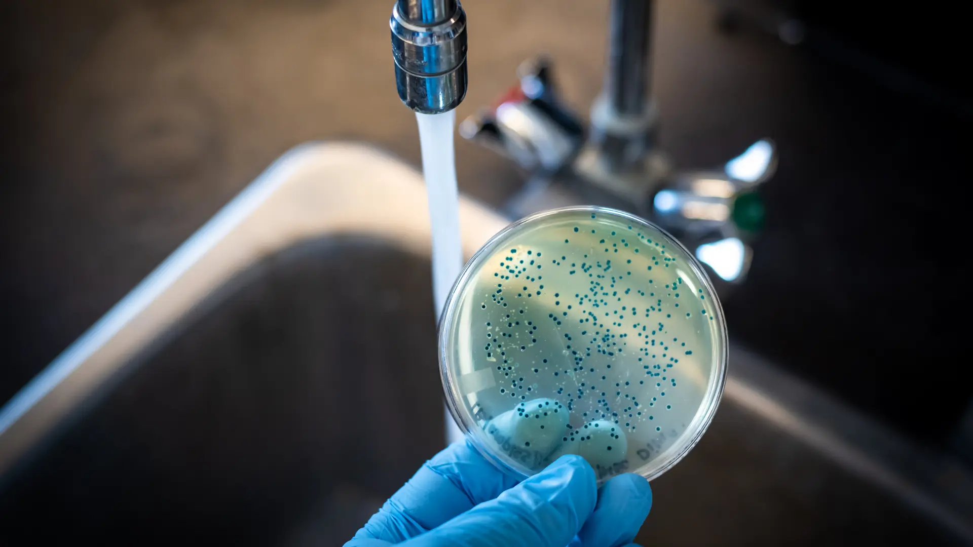 What to Do If Well Water Is Contaminated