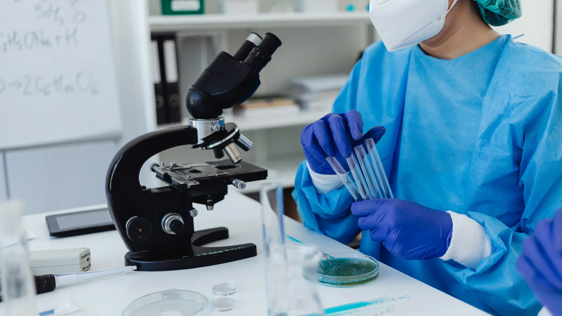 Where Can I Get My Well Water Tested? Labs vs Field Services