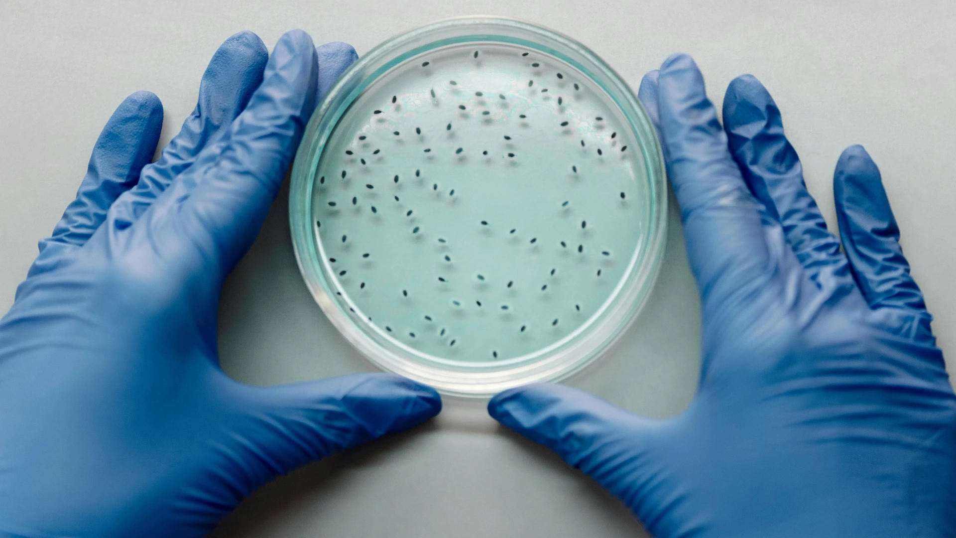 Nitrates and Nitrites in Well Water