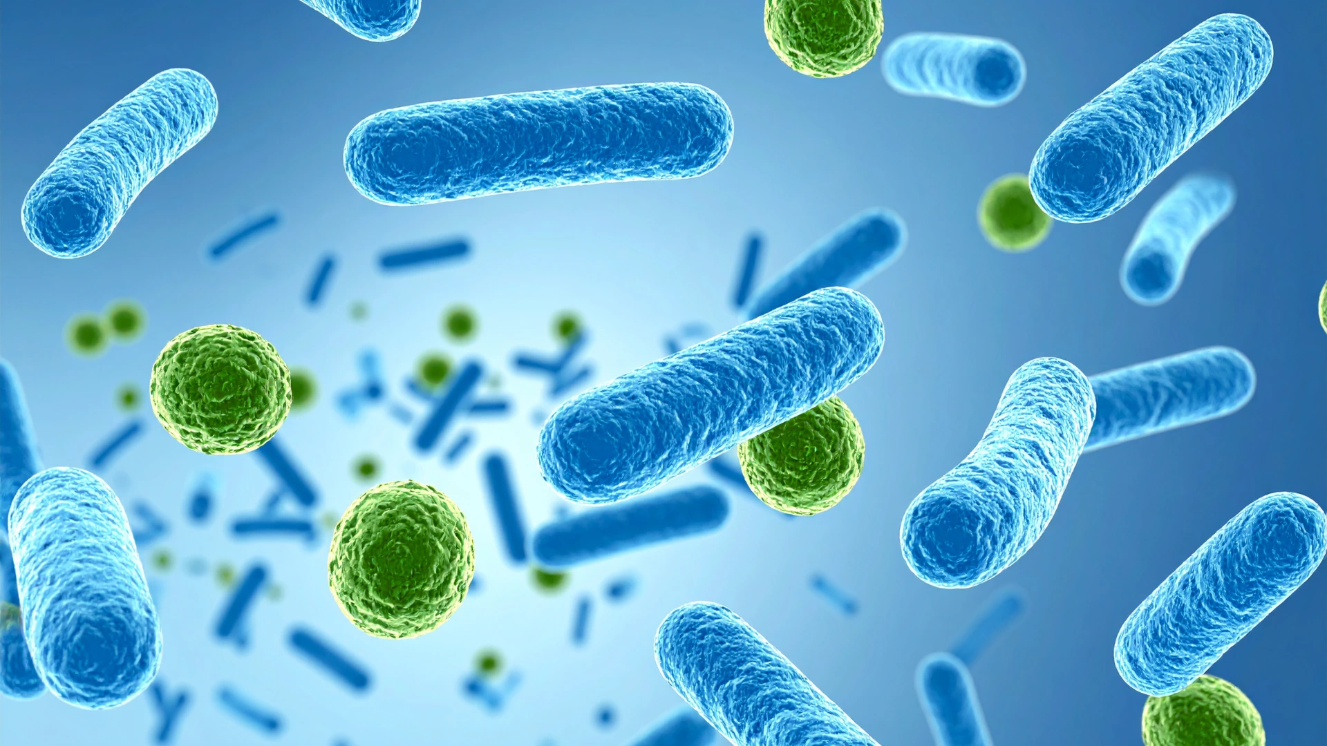 Total Coliform Bacteria in Well Water
